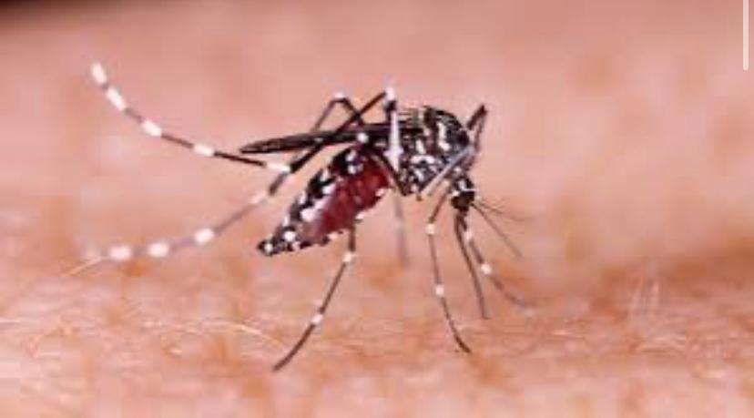 Dua Angkasawan RRI Sungai Penuh Positif DBD